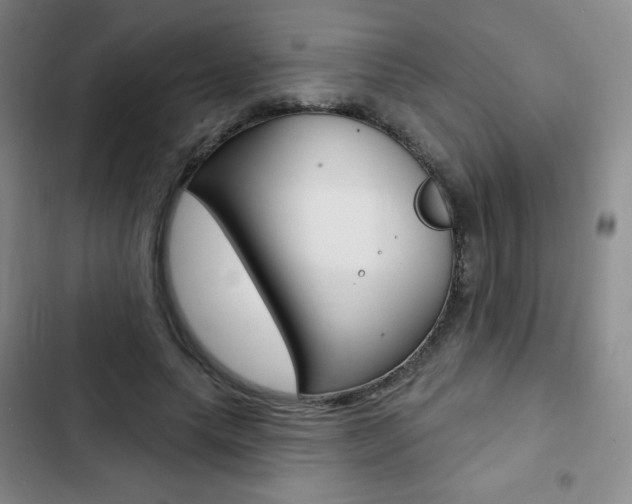 X0000103150639200808221130