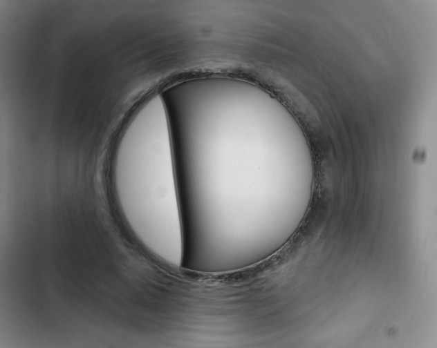 X0000103150640200808221130
