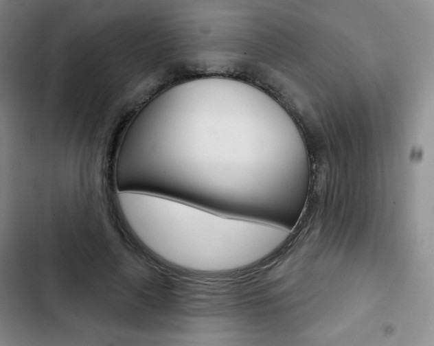 X0000103150643200808221130