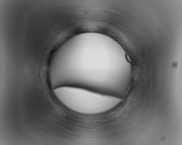 X0000103150645200808221130