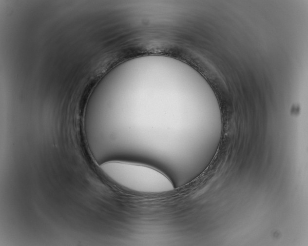 X0000103150646200808221130