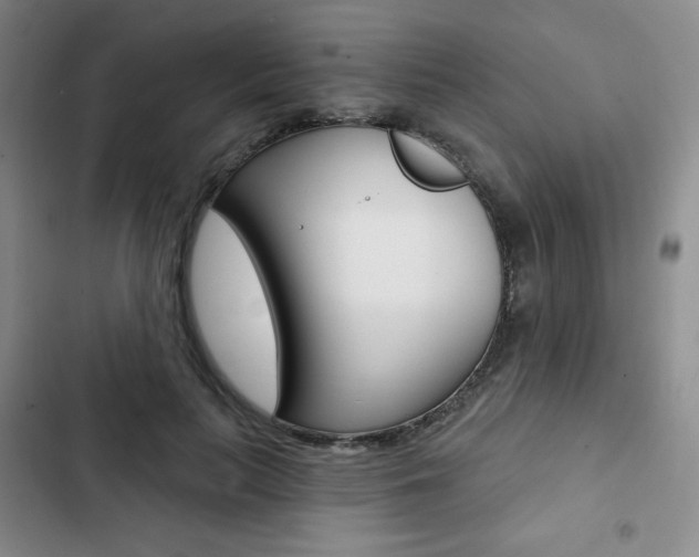 X0000103150647200808221130