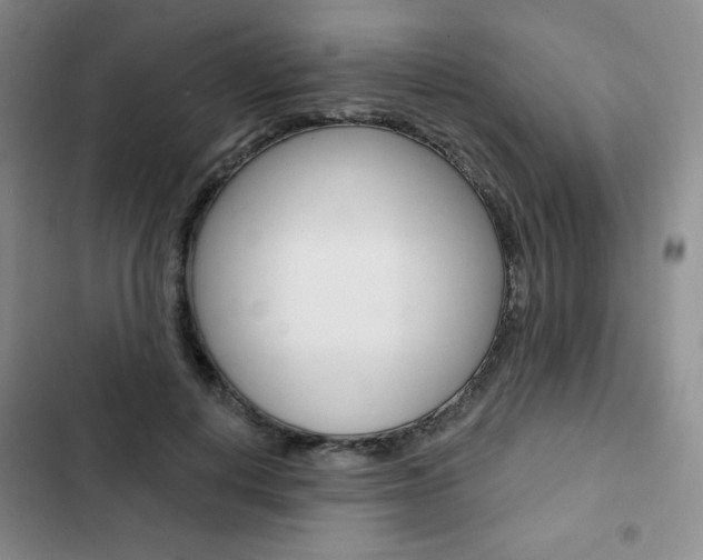 X0000103150648200808221130