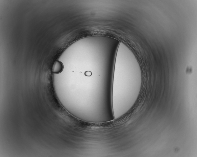 X0000103150649200808221130