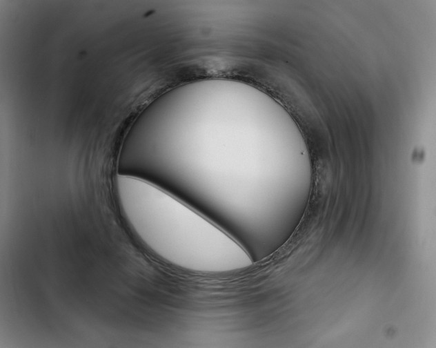 X0000103150650200808221130