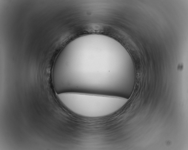 X0000103150652200808221130