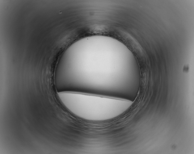 X0000103150653200808221130