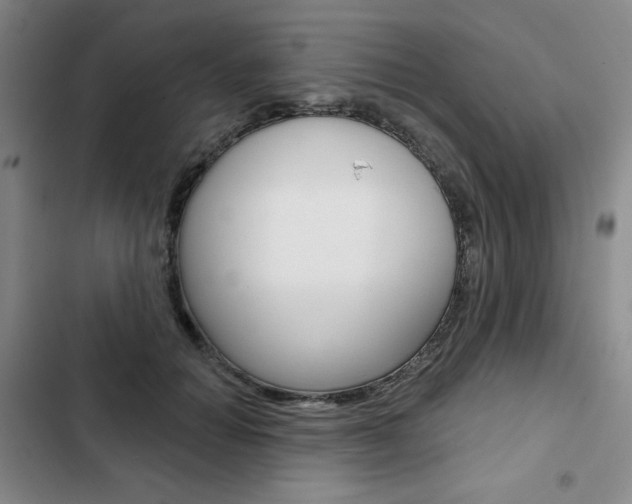X0000103150654200808221130