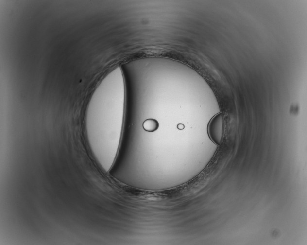 X0000103150655200808221130