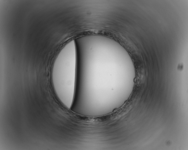 X0000103150656200808221130