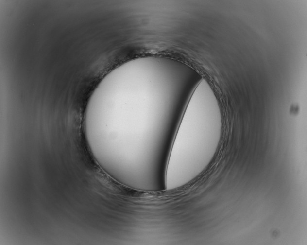 X0000103150657200808221130