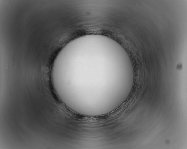 X0000103150658200808221130