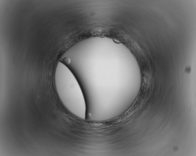 X0000103150659200808221130