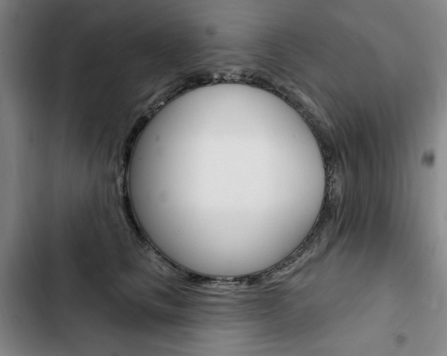X0000103150661200808221130