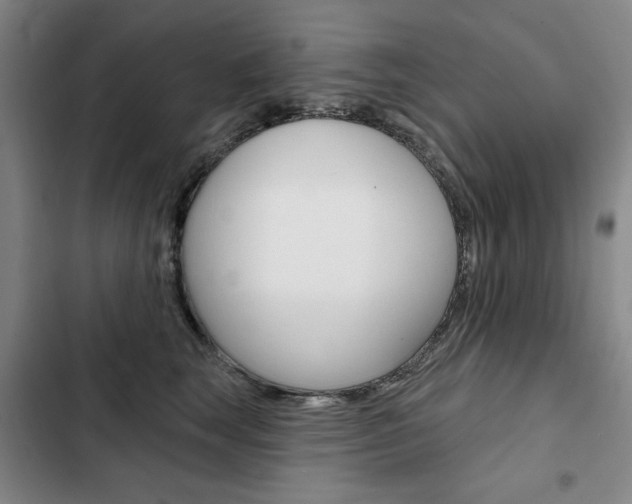 X0000103150663200808221130