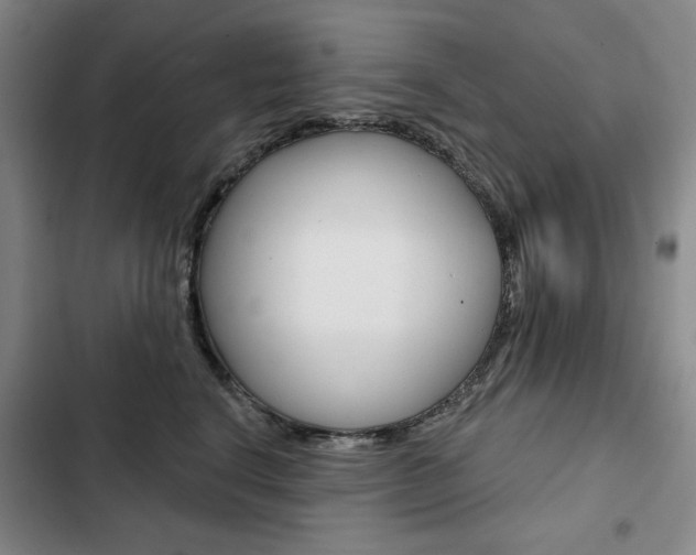 X0000103150664200808221130