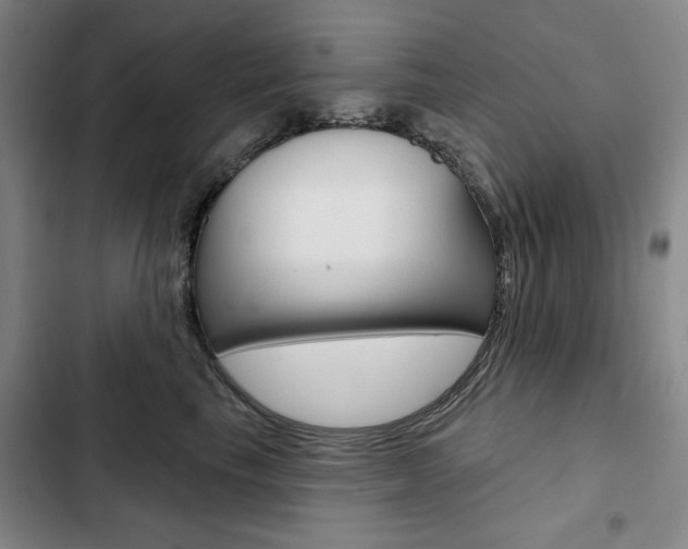 X0000103150665200808221130