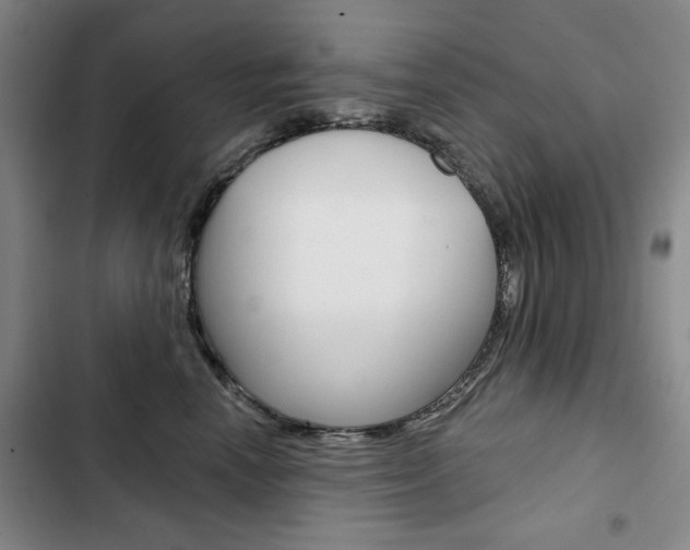 X0000103150666200808221130
