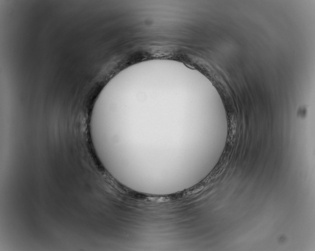 X0000103150667200808221130