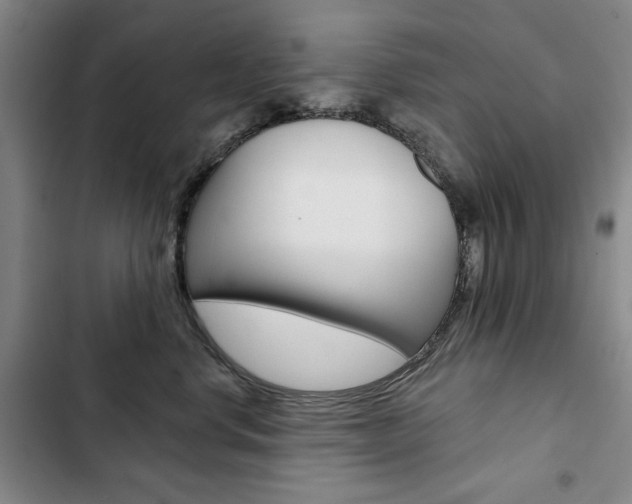 X0000103150668200808221130
