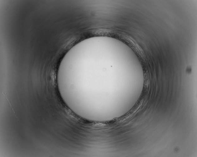 X0000103150669200808221130