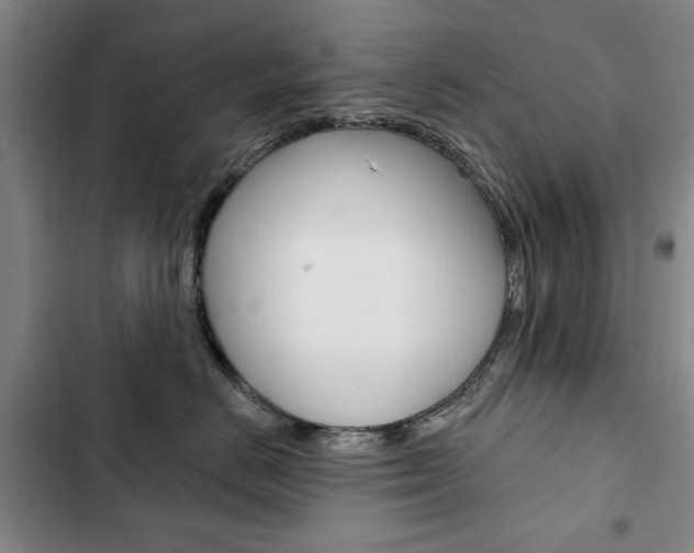 X0000103150670200808221130