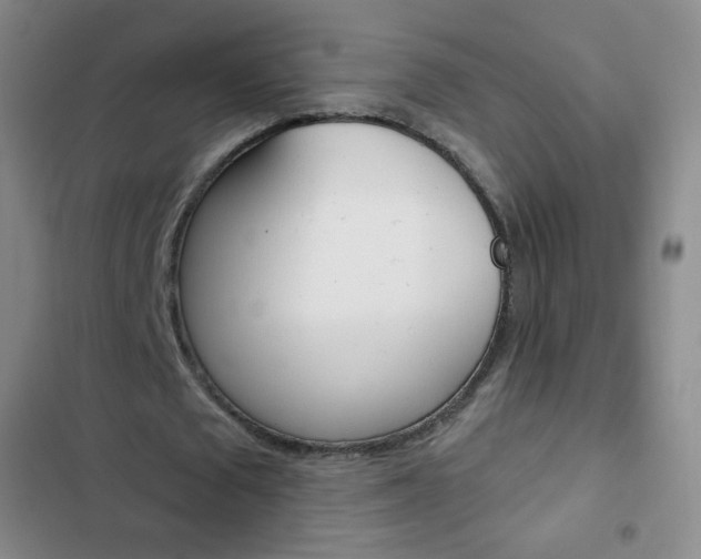 X0000103150673200808221129