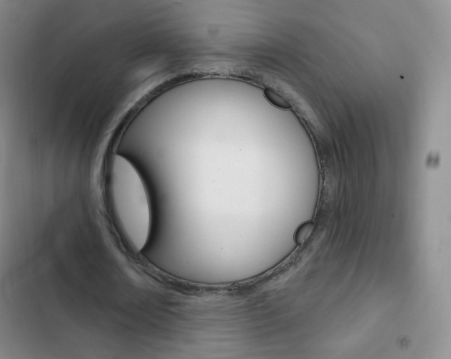 X0000103150674200808221129