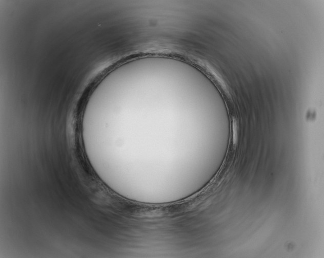 X0000103150675200808221129