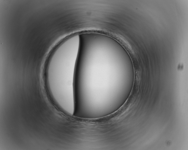 X0000103150676200808221129