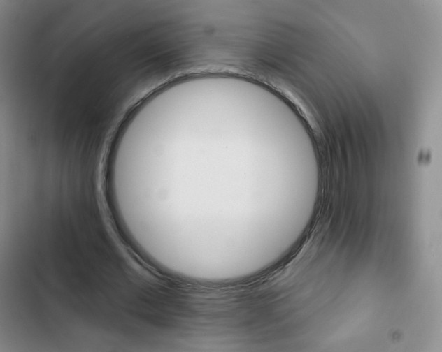 X0000103150677200808221129
