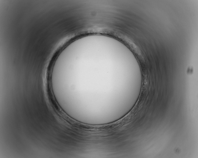 X0000103150678200808221129