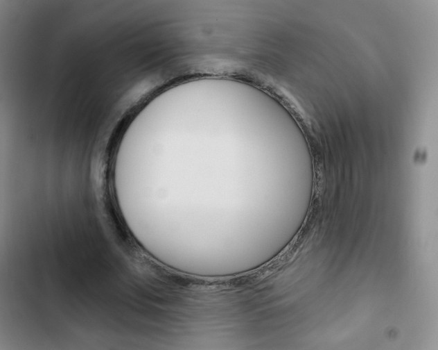 X0000103150679200808221129