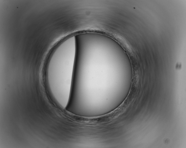 X0000103150680200808221129