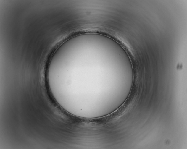 X0000103150681200808221129