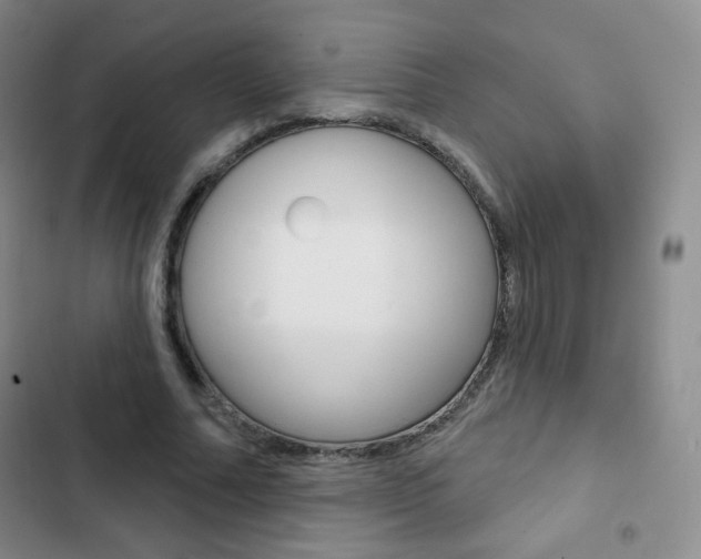 X0000103150682200808221129