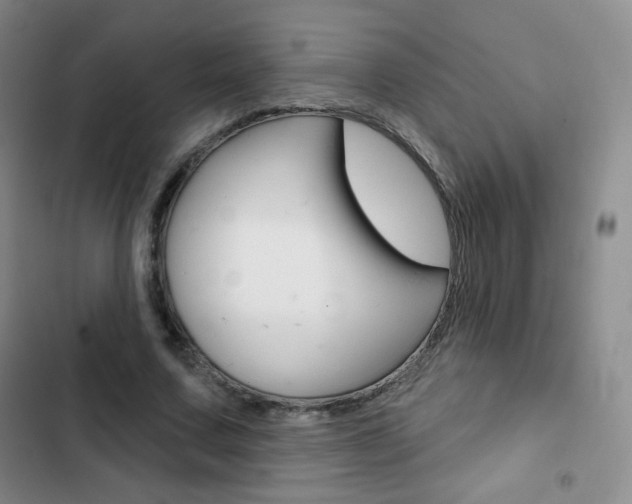 X0000103150683200808221129