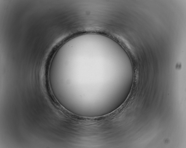 X0000103150684200808221129