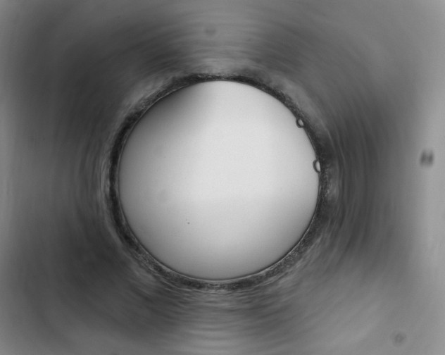 X0000103150685200808221129