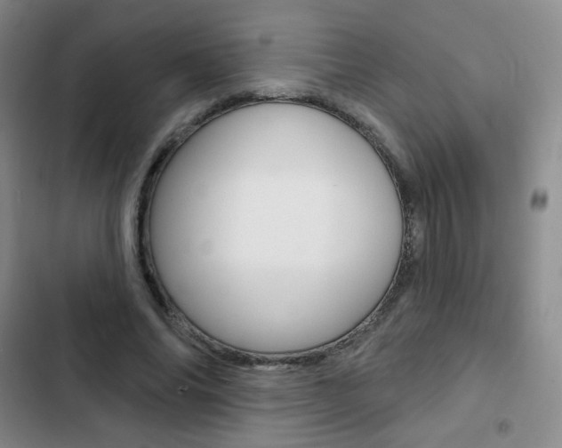 X0000103150686200808221129