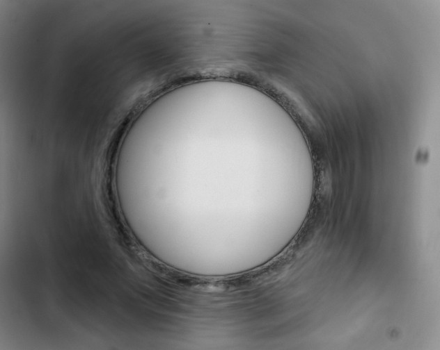 X0000103150687200808221129