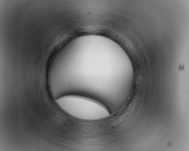 X0000103150689200808221129