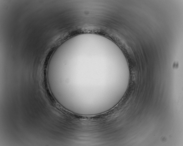 X0000103150690200808221129