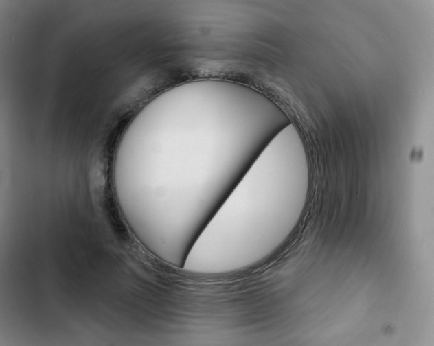 X0000103150691200808221129