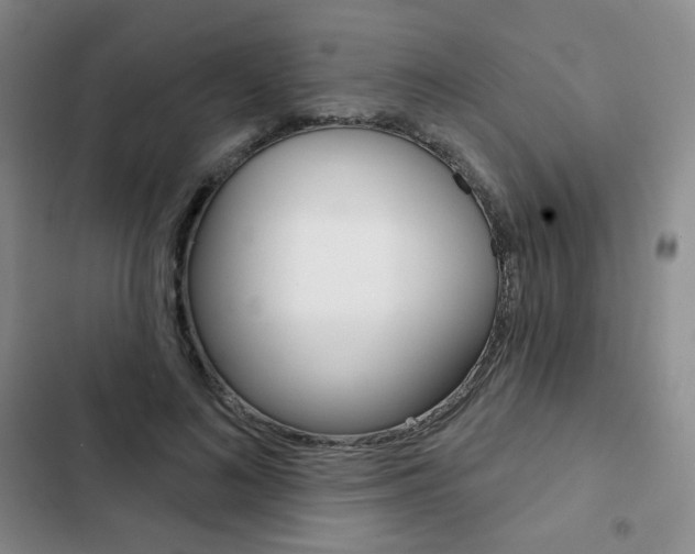 X0000103150692200808221129