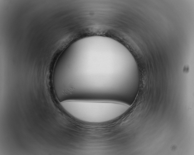 X0000103150693200808221129