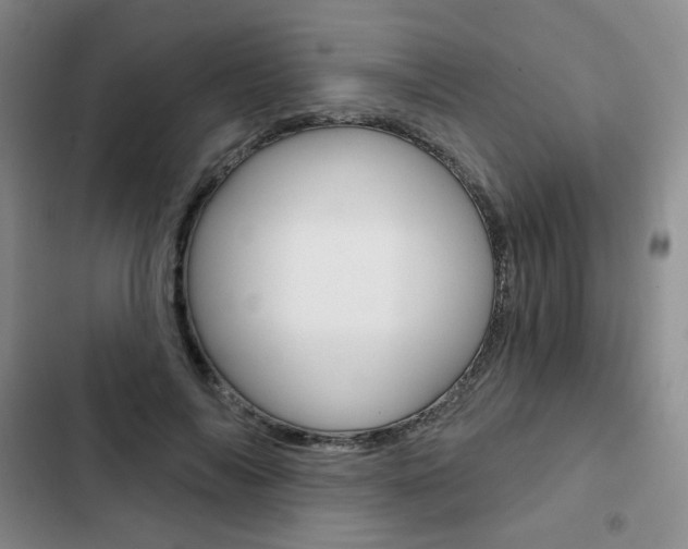 X0000103150694200808221129