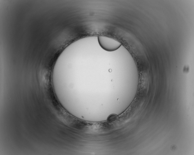 X0000103150695200808221129