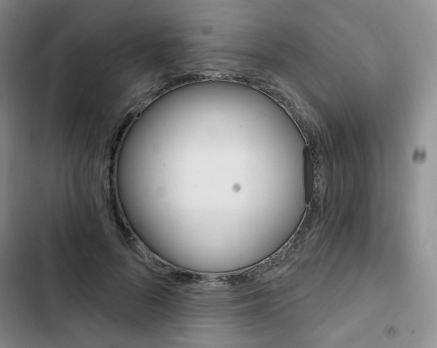X0000103150696200808221129