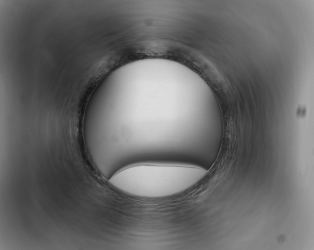 X0000103150697200808221129